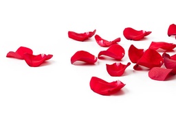 Lot de pétale de rose