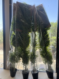 Pot de fleur intérieur KWAI